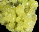 Sulfur Crystal Cluster on Matrix - Nevada #69153-2